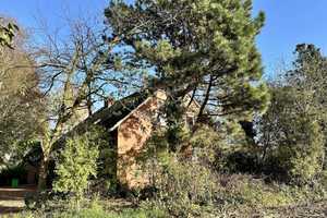 Außenbereich mit über 18.400 m² Grundstück – Borken (Kreis) – Vorschaubild 3