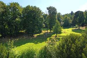 Historischer Charme trifft modernen Luxus in Heidelbergs Bestlage – Die vollständige Adresse der Immobilie erhältst du vom Anbieter., 69118 Schlierbach, Heidelberg – Vorschaubild 18