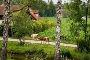 Ihr Mehrgenerationen-Traum – Wohnen &amp; Arbeiten im Naturparadies Windach – Die vollständige Adresse der Immobilie erhältst du vom Anbieter., 86949 Windach – Vorschaubild 3