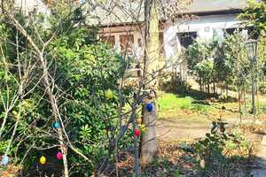 FINALER PREIS | PROVISIONSFREI | Einfamilienhaus mit Wintergarten und Bungalow auf großem Grundstück – Oberhavel (Kreis) – Vorschaubild 3