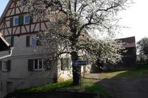 Ländliches Bauernhaus mit großzügigem Grundstück – Perfekt für Naturfreunde! – Mühlgasse 10, 72144 Tübingen (Kreis) – Vorschaubild 2
