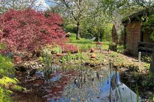Großes Wohnhaus mit traumhaftem Garten – Die vollständige Adresse der Immobilie erhältst du vom Anbieter., 66119 Alt-Saarbrücken, Saarbrücken – Vorschaubild 7