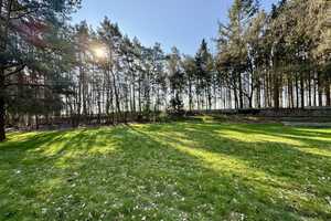 Großes Wohnhaus in der Natur, nur wenige Minuten vom Zentrum in Löningen! *Provisionsfrei* – Cloppenburg (Kreis) – Vorschaubild 5