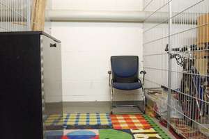 Helle 2-Zimmer-Wohnung mit TG-Platz in Sürth   (bitte keine Makler) – Rodderweg 54, 50999 Sürth, Köln – Vorschaubild 18