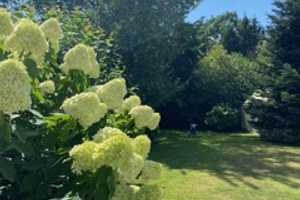 Freistehendes u. lichtdurchflutetes Einfamilienhaus mit uneinsehbarem u. traumhaftem Garten – Mönchengladbach – Vorschaubild 5