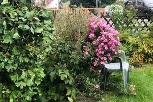 Familienfreundliche DHH mit großem Garten und ausbaubarer Dachterrasse – Frankfurt am Main – Vorschaubild 6