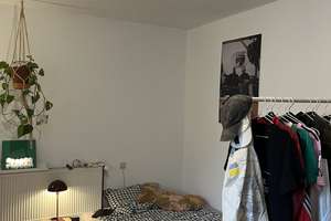 Helle Dachgeschosswohnung in Kassel-Mitte – ideal für 2er-WG  – 34117 Mitte, Kassel – Vorschaubild 9