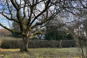 Bungalow in ruhiger Wohnlage – Coburg (Kreis) – Vorschaubild 9