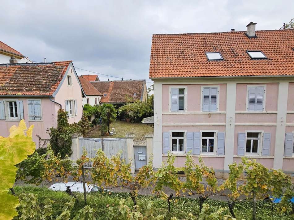 Gesamtansicht