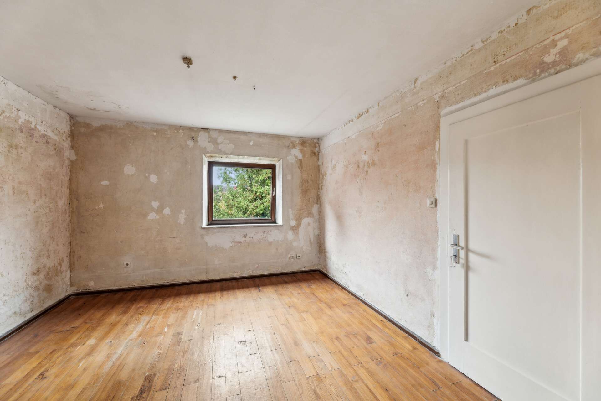 Immobilie in Igensdorf - Mehrfamilienhaus aus dem Dornrösschenschlaf erwacht - Bild 2