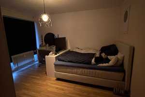 Suche eine-/einen nette-/n Nachmieter für meine gemütliche Wohnung – Zillertaler Str. 37A, 42349 Wuppertal – Vorschaubild 5