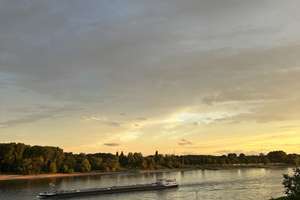 Property thumbnail 28