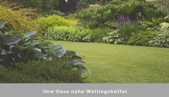 Bild von Wunderschöne Allee nahe Wellingsbüttel für Ihren Neubau