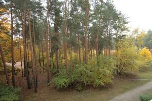Grüner Ausblick bis in die Müggelberge