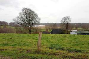 Schönes, großzügiges Mehrgenerationenhaus mit zusätzlicher ELW und herrlichem Blick in die Natur – Die vollständige Adresse der Immobilie erhältst du vom Anbieter., 24884 Selk – Vorschaubild 11