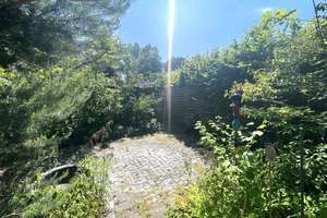 Barrierefreier modernisierter Bungalow mit Wintergarten in Nürnberg-Langwasser! – Die vollständige Adresse der Immobilie erhältst du vom Anbieter., 90473 Langwasser Südost, Nürnberg – Vorschaubild 15
