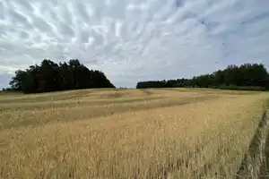 Landhaus im Loftstyle nur 53 km von Berlin – Oberhavel (Kreis) – Vorschaubild 15