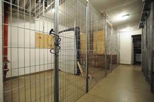Striesen - bezugsfreie 2-Zimmerwohnung mit Aufzug – Holbeinstraße 106, 1309 Dresden – Vorschaubild 14
