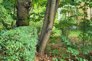 Property thumbnail 19