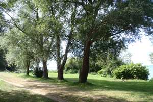 Familienfreundliches 5,5-Zimmer-Einfamilienhaus am Schweriner See – Parchim (Kreis) – Vorschaubild 17