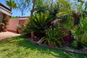 Winterresidenz in Santa Ponsa Golf  Verfügbar vom 1. September 2026 bis 30. Juni 2027 (10-monatiger  – Die vollständige Adresse der Immobilie erhältst du vom Anbieter., 7180 Adlershof, Berlin – Vorschaubild 11