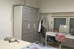 Starkes Immo-Paket: 6-Fam.-Haus + EFH + 3 x Lager-/Werkstatt-Hallen - gesamt ca. 930 m² Wohn-Nutzfl. – 44145 Borsigplatz, Dortmund – Vorschaubild 6