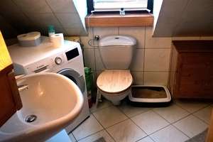 Dachgeschoss-Wohnung in Würzburg: 2 Zimmer mit Charme – Rotkreuzstraße 13, 97080 Altstadt, Würzburg – Vorschaubild 15