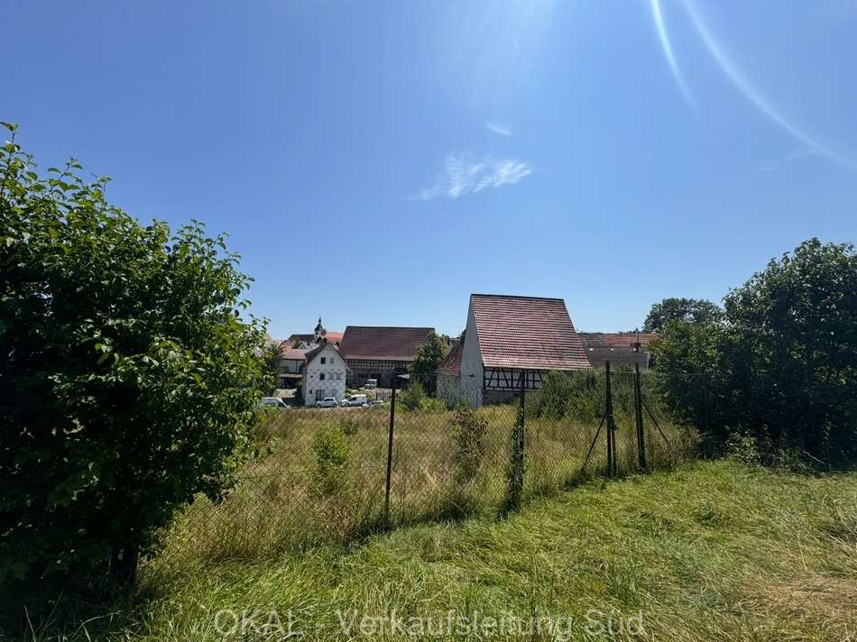 BP Bild 2 vom Feld