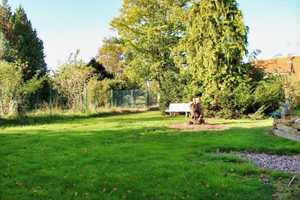 Schön gelegenes Landhaus mit viel Platz und Potential – Nienburg (Weser) (Kreis) – Vorschaubild 9