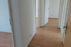 Tolkewitz: Helle kleine 3-R -Whg  Wanne + Balkon! – Kipsdorfer Str. 145, 1279 Tolkewitz/Seidnitz-Nord, Dresden – Vorschaubild 13