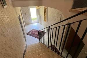 Ein freistehendes Einfamilienhaus - großer Garten - und gute Wohnlage ! – Die vollständige Adresse der Immobilie erhältst du vom Anbieter., 65199 Dotzheim, Wiesbaden – Vorschaubild 12