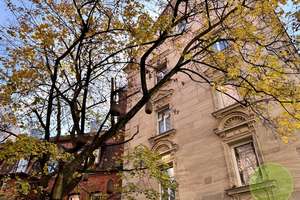 *** Ein Träumchen in BESTlage *** St. Johannis * 155 qm * Altbau Charme * 6 Zimmer * Ganze Etage *** – Kirchenweg 75, 90419 Sandberg, Nürnberg – Vorschaubild 30