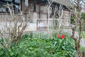 Grünes Wohnglück mit Sonnenkraft: Einfamilienhaus mit Gartenparadies & PV-Anlage – Elbe-Elster (Kreis) – Vorschaubild 26
