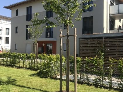 3 3 5 Zimmer Wohnung Zur Miete In Munchen Kreis Immobilienscout24