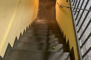 CityHome l Vermietete 1,5-Zimmer-Wohnung mit Erbbaurecht – Augsburg-Bärenkeller – Die vollständige Adresse der Immobilie erhältst du vom Anbieter., 86156 Bärenkeller, Augsburg – Vorschaubild 5