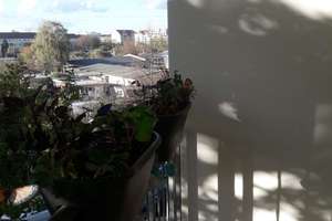 GESUCHTES STRIESEN! VERMIETETE 2 RAUM- WOHNUNG, 2.OG, BALKON, LIFT, TG UND HOBBYRAUM! – Eibenstocker Straße 25, 1277 Striesen-Süd, Dresden – Vorschaubild 18