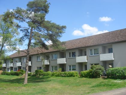 Wohnung Mieten In Schneverdingen Immobilienscout24