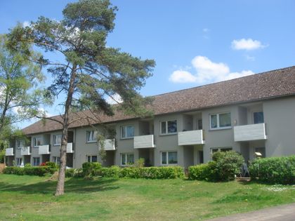 Wohnung Mieten In Schneverdingen Immobilienscout24