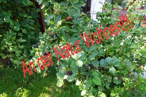 An der Natur Wohnen!!!!! – Die vollständige Adresse der Immobilie erhältst du vom Anbieter., 89343 Jettingen-Scheppach – Vorschaubild 1