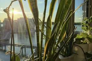 Traumhafte Penthouse Wohnung mit Wasserblick – Loggerweg 10, 18055 Rostock – Vorschaubild 17