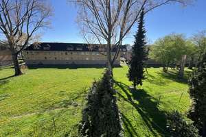 Grünes Umfeld - Renovierte 3 Zi.- Whng. - Wannenbad  mit Fenster - Duisburg