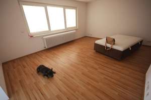 Lichtdurchflutete 1-Zi. Wohnung mit Sonnenbalkon, TG Stellplatz und Aufzug – Hermannstr. 4, 42277 Oberbarmen, Wuppertal – Vorschaubild 3