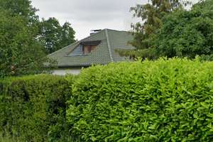 Villenartiger Charme in Rosengarten mit Tiefgarage – Die vollständige Adresse der Immobilie erhältst du vom Anbieter., 21224 Rosengarten – Vorschaubild 1