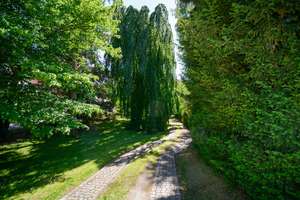 Idyllisches Anwesen direkt an der Trave – Die vollständige Adresse der Immobilie erhältst du vom Anbieter., 23558 Buntekuh, Lübeck – Vorschaubild 35