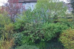 Charmante 3-Zimmer-Wohnung mit großem Gartenanteil – Ein Projekt mit Potenzial! – Die vollständige Adresse der Immobilie erhältst du vom Anbieter., 70329 Hedelfingen (Ortsteil), Stuttgart – Vorschaubild 15