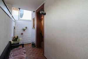 Nicht nur ein Haus, sondern ein Zuhause mit Geschichte und Zukunft – Mainz – Vorschaubild 8