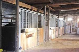 Niedersachsen, Landkreis Cuxhaven, Wurster Nordseeküste - Gutshof, Reitimmobilie mit Stallungen – Die vollständige Adresse der Immobilie erhältst du vom Anbieter., 27637 Nordholz – Vorschaubild 4