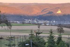 Landwirtschaftlicher Betrieb mit 2 Wohnhäusern und vielen Möglichkeiten in Rhens – Kronenhof 1-2, 56321 Rhens – Vorschaubild 5
