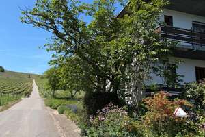Natur pur - Großes EFH am Ortsrand - Nähe Trier und Luxemburg – Beim Weinskreuz 1, 54340 Leiwen – Vorschaubild 5