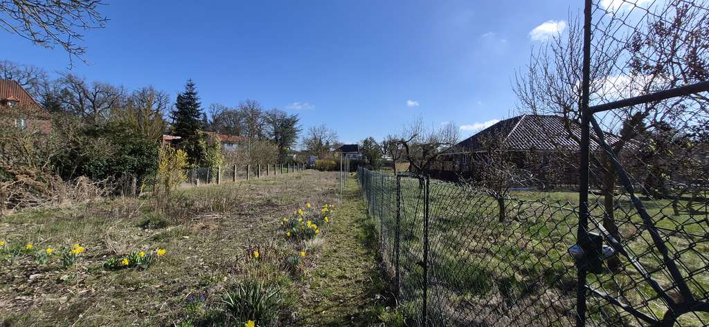 Immobilie in Dannenberg - Stadtnahes Wohnen auf großem Grundstück - Viel Platz für Ihre Ideen - Bild 0